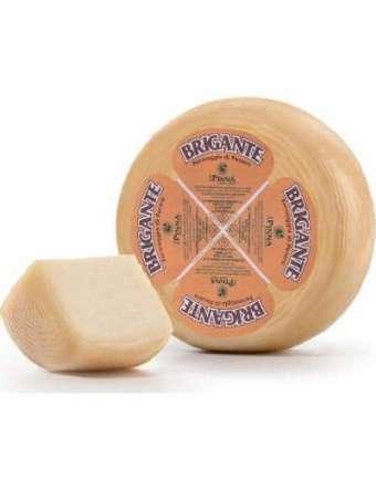 PINNA BRIGANTE II CACIOTTA...