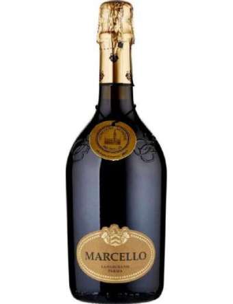 ARIOLA LAMBRUSCO MARCELLO...