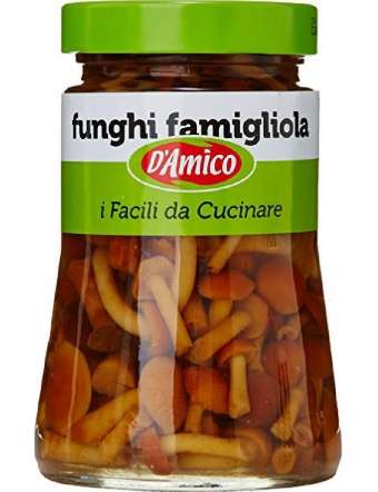 D'AMICO FUNGHI FAMIGLIOLA...