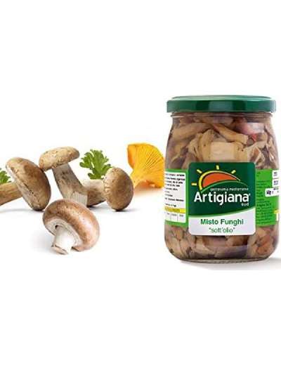 ARTIGIANA SUD MISTO FUNGHI KG 3