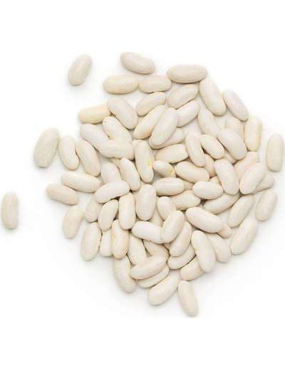 MONDIAL FAGIOLI CANNELLINI BUSTA KG 5