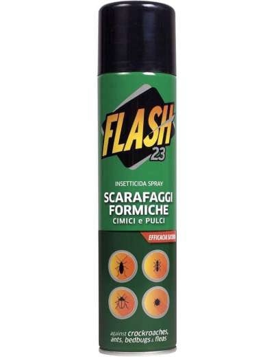 FLASH SCARAFAGGI E FORMICHE ML 250