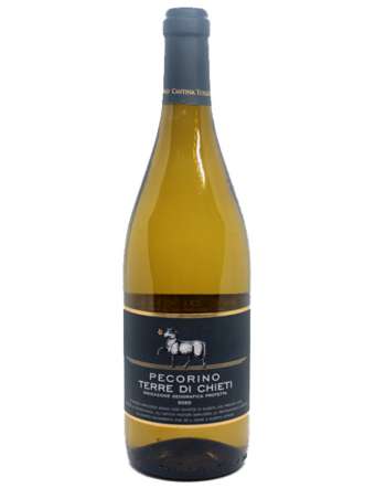 CANTINA TOLLO PECORINO TERRE DI CHIETI OCCHIO BLU IGP CL 75