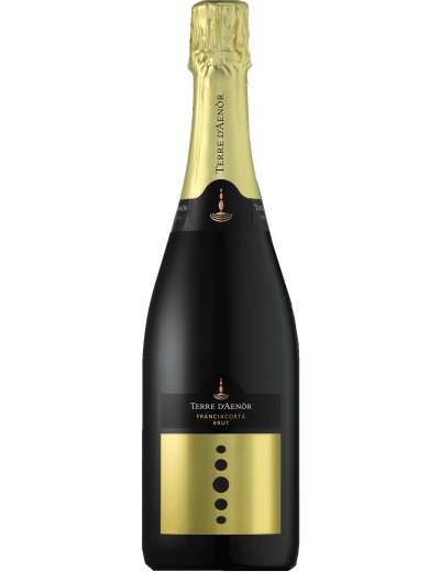 TERRE D'AENOR FRANCIACORTA BRUT CL 75