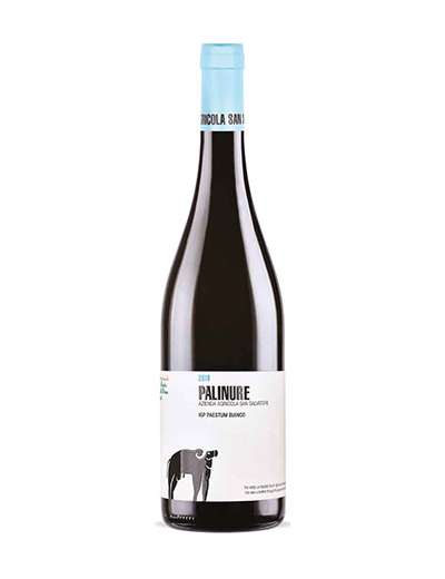 SAN SALVATORE PALINURE BIANCO IGP 2024 CL 75