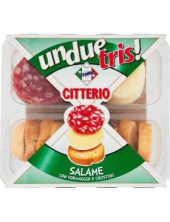 UNDUETRIS SALAME CITTERIO GR 100