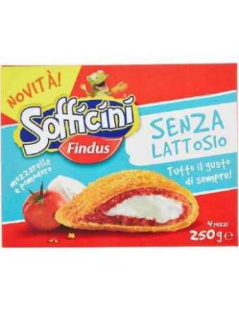 FINDUS SOFFICINI SENZA LATTOSIO GR 250