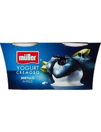 MULLER YOGURT MIRTILLO 2X125 GR 250