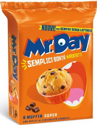 MR DAY MUFFIN CLASSICO SENZA LATTOSIO GR 300