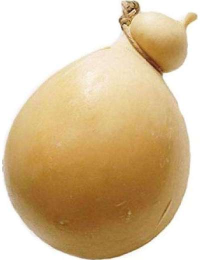 CACIOCAVALLO SEMI PICCANTE DA KG 2