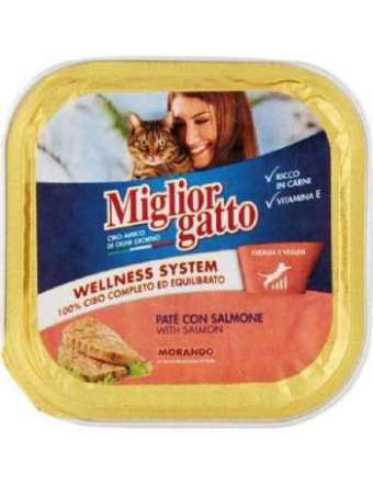 MIGLIORGATTO PATE' SALMONE GR 100