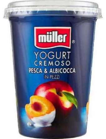 MULLER ALBICOCCA PESCA YOGURT GR 500