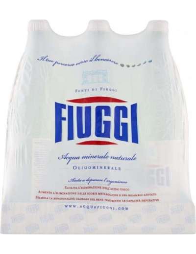 ACQUA FIUGGI BT LT 1 X 6