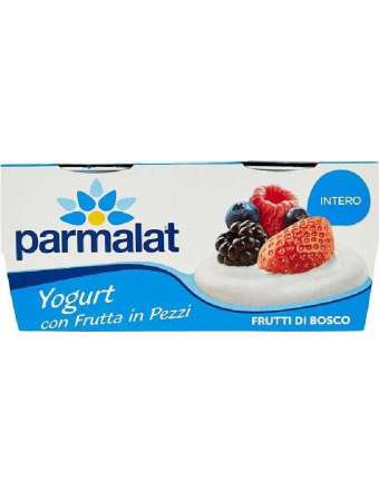 PARMALAT YOGURT AI FRUTTI DI BOSCO 2X125 GR
