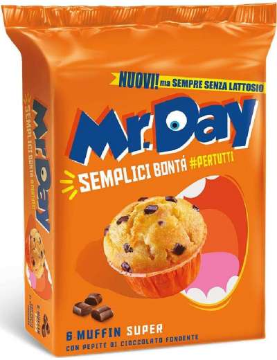 MR DAY MUFFIN CLASSICO SENZA LATTOSIO GR 300