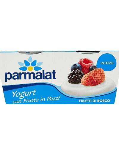 PARMALAT YOGURT AI FRUTTI DI BOSCO 2X125 GR
