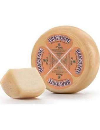 PINNA BRIGANTE II CACIOTTA KG 1