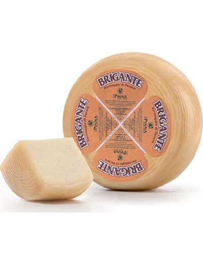 PINNA BRIGANTE II CACIOTTA KG 1