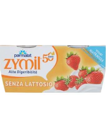 ZYMIL YOGURT SENZA LATTOSIO FRAGOLA 2X125 GR