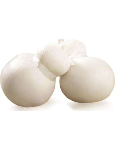 COPPIA DI CACETTI BIANCHI DA KG 1